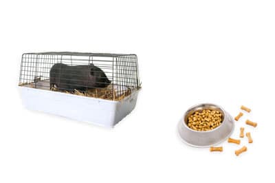 Organic Pet Waste | Calgary Recycling