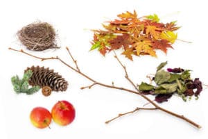 Yard Waste - Calgary Recycling